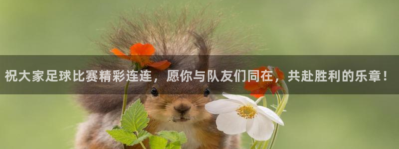 祝大家足球比赛精彩连连，愿你与队友们同在，共赴胜利的乐章！