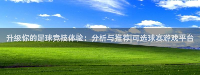升级你的足球竞技体验：分析与推荐|可选球赛游戏平台