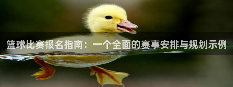 篮球比赛报名指南：一个全面的赛事安排与规划示例
