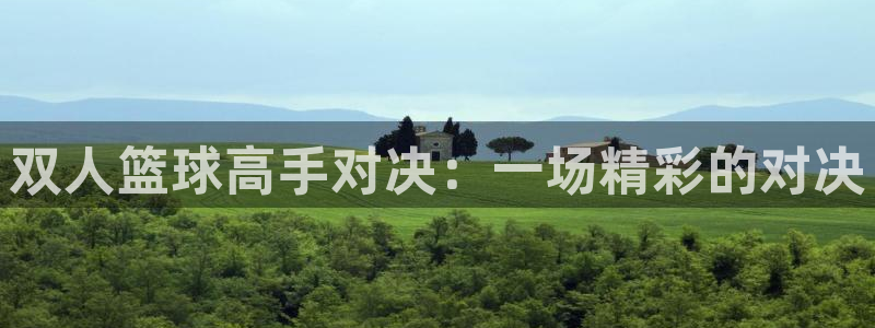 易游安卓模拟器官网下载安装手机版：双人篮球高手对决：一场精彩