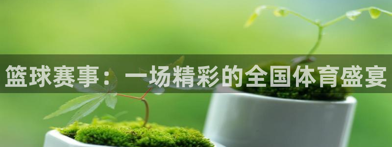 易游体育APP最新版本更新内容：篮球赛事：一场精彩的全国体育