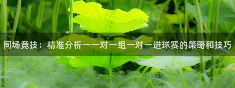 易游网是正规平台吗可靠吗：同场竞技：精准分析一一对一组一对一