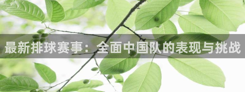 易游pt手机客户端：最新排球赛事：全面中国队的表现与挑战