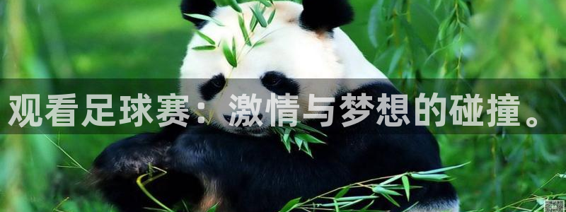 易游体育app客户端下载苹果：观看足球赛：激情与梦想的碰撞。