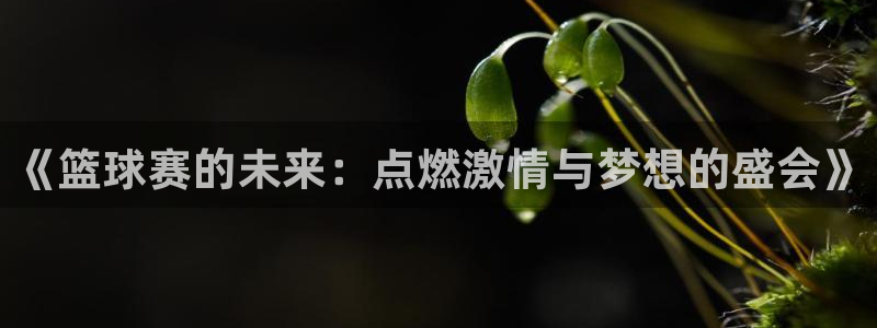 易游手机官网下载：《篮球赛的未来：点燃激情与梦想的盛会》