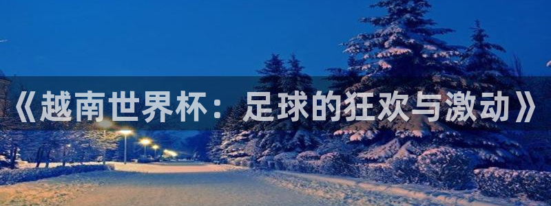 易游网游戏交易平台怎么样啊：《越南世界杯：足球的狂欢与激动》